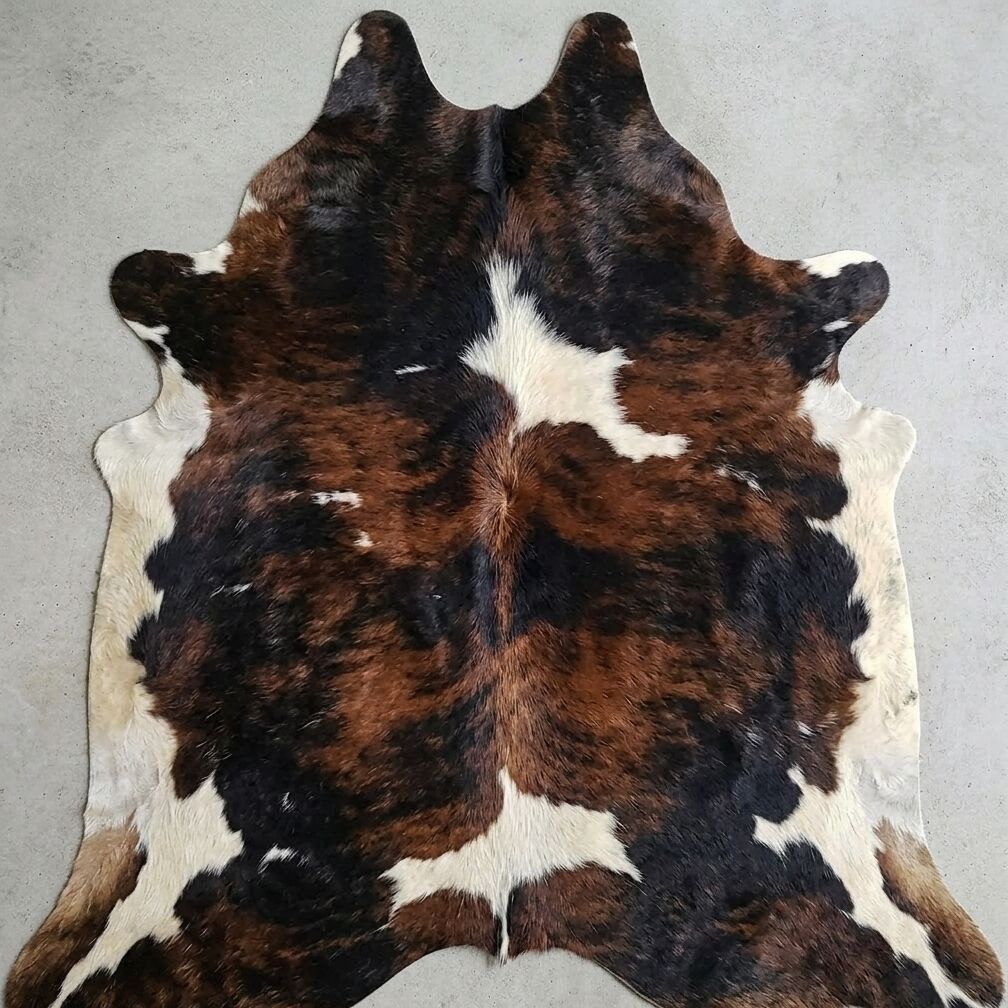 Grote donkerbruine koeienhuid op een lichte vloer.