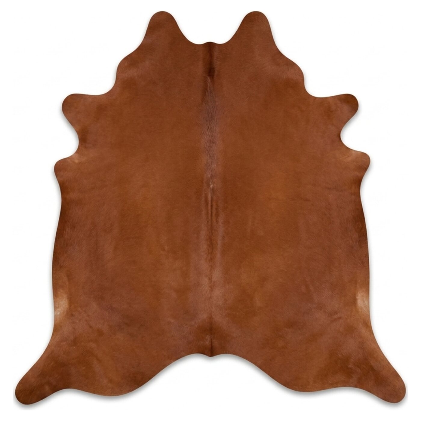 Roodbruin bovenaanzicht