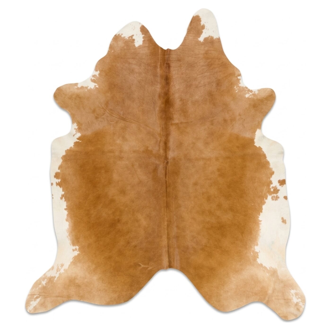 Hereford Bruin-Wit bovenaanzicht