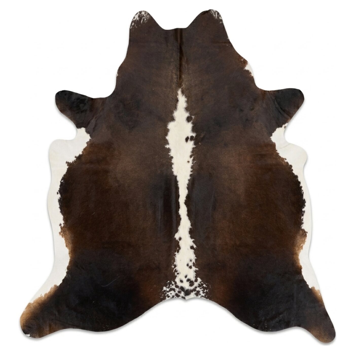 Hereford Donkerbruin-Wit bovenaanzicht