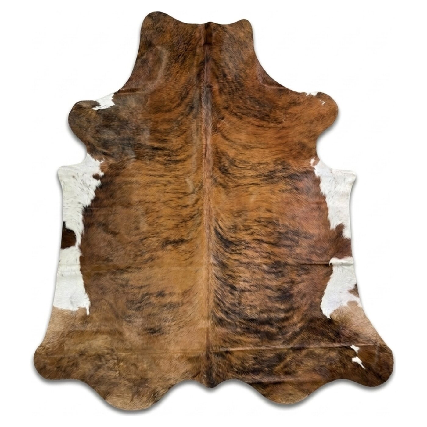 Normandier Bruin bovenaanzicht