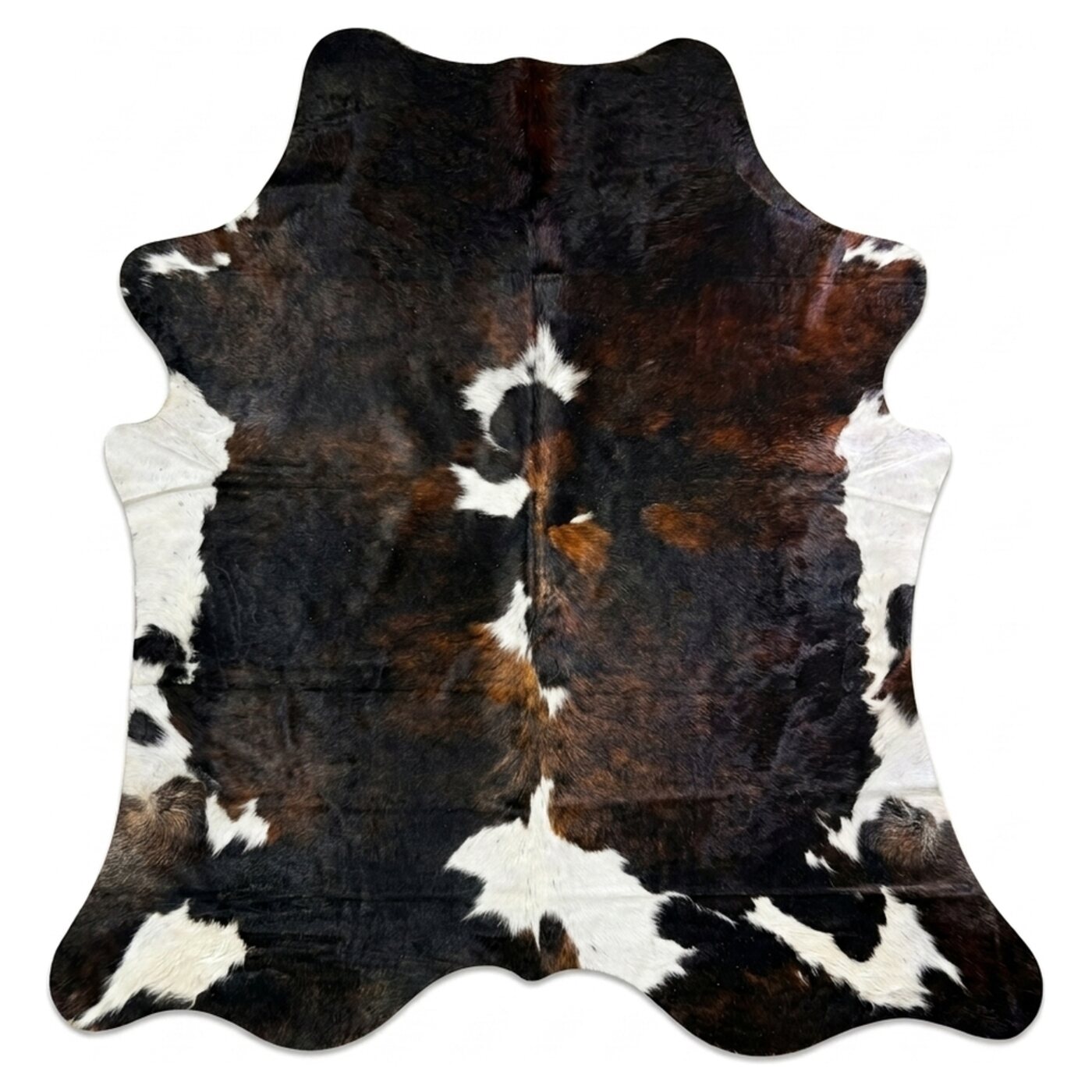 Normandier Driekleur Donker bovenaanzicht