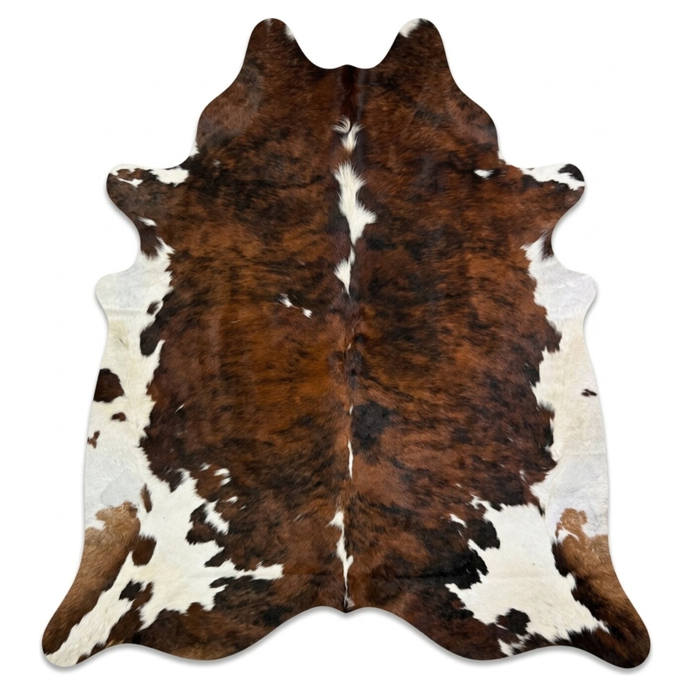 Normandier Roodbruin bovenaanzicht