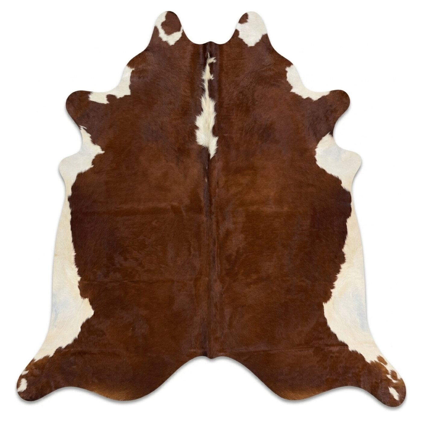 Hereford Roodbruin-Wit bovenaanzicht