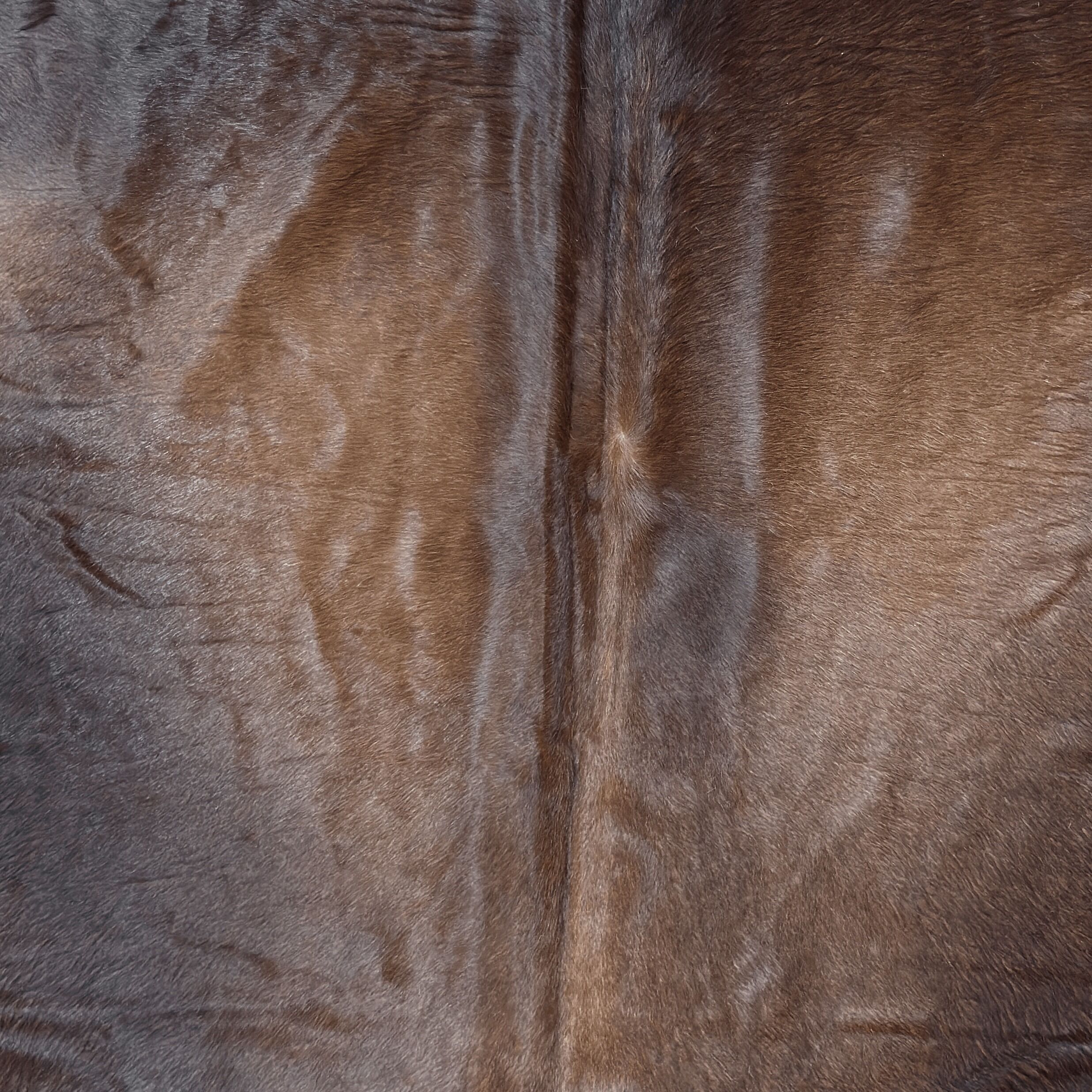 Koeienhuid Vloerkleed 205x198 cm - image 3