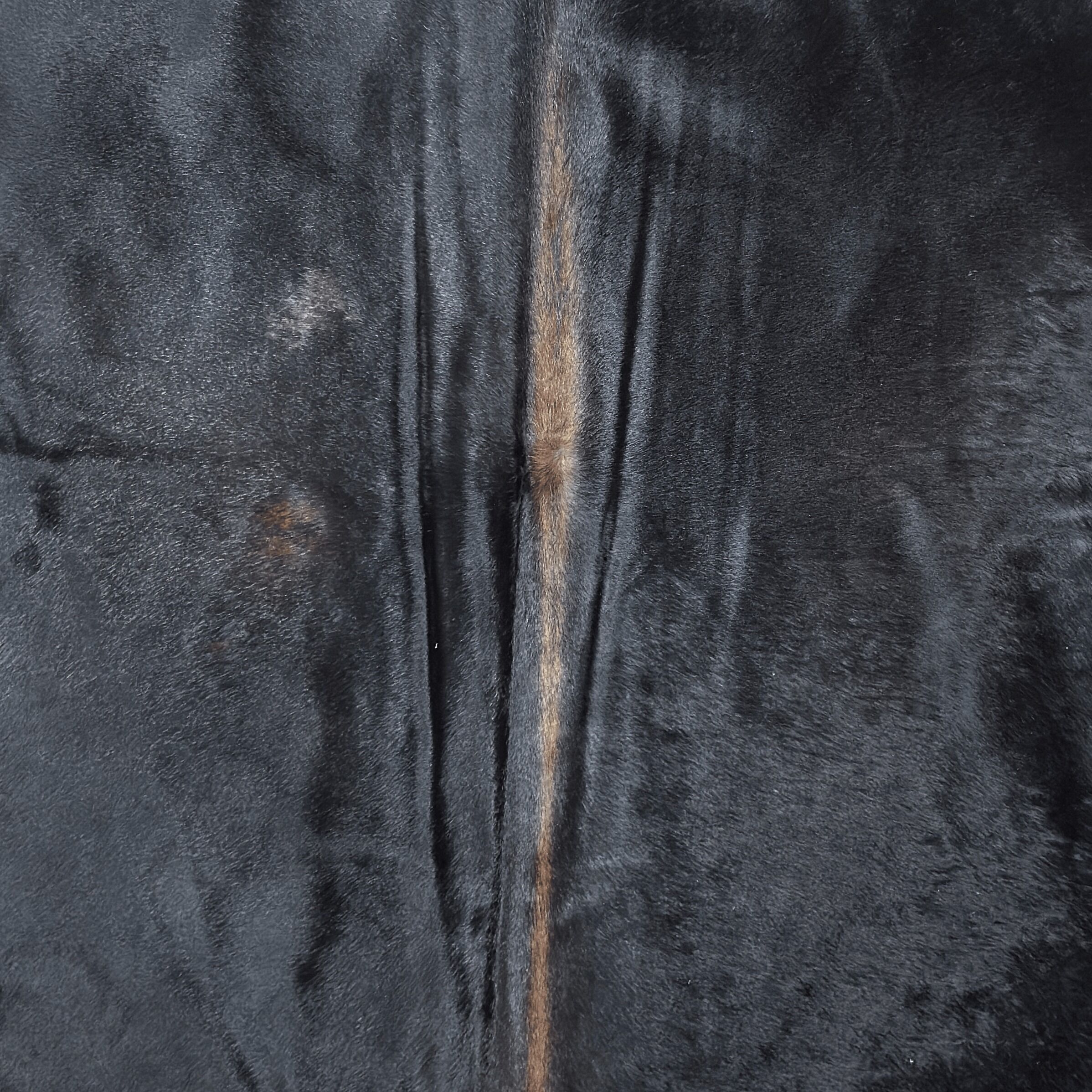 Koeienhuid Vloerkleed 223x191 cm XL (Groot) - image 3