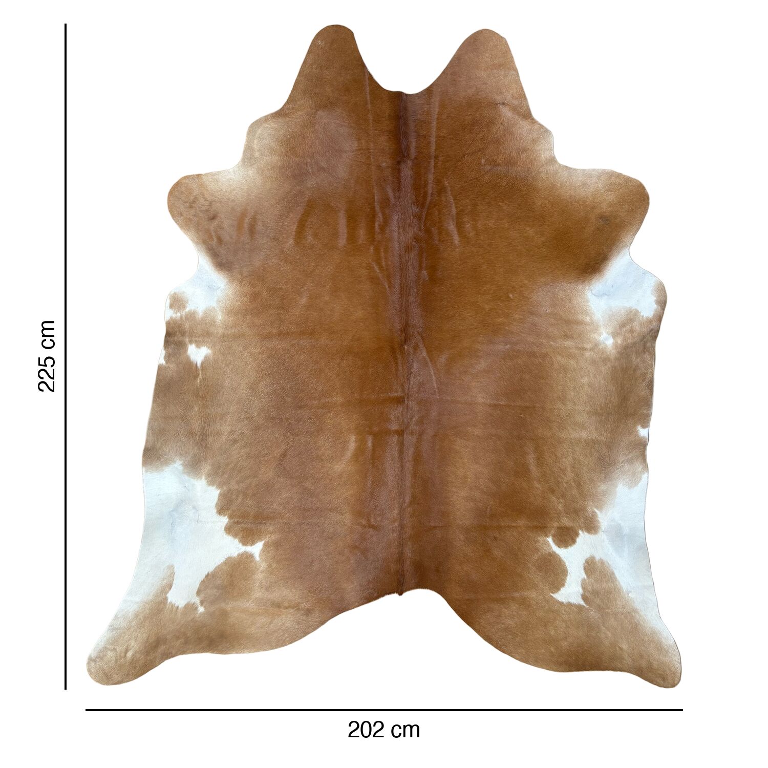 Koeienhuid Vloerkleed 225x202 cm XL (Groot) - image 4