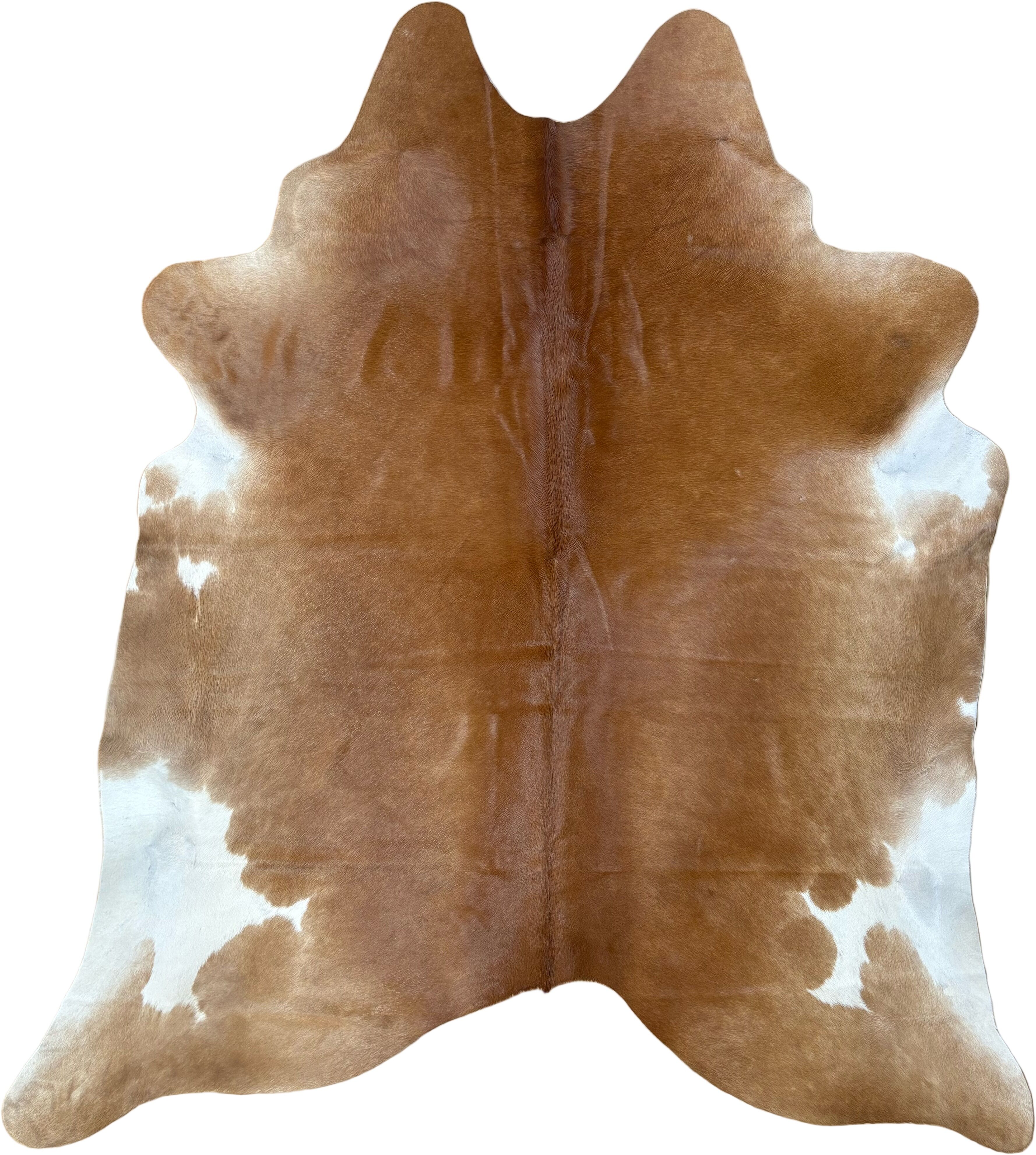 Koeienhuid Vloerkleed 225x202 cm XL (Groot) - image 2