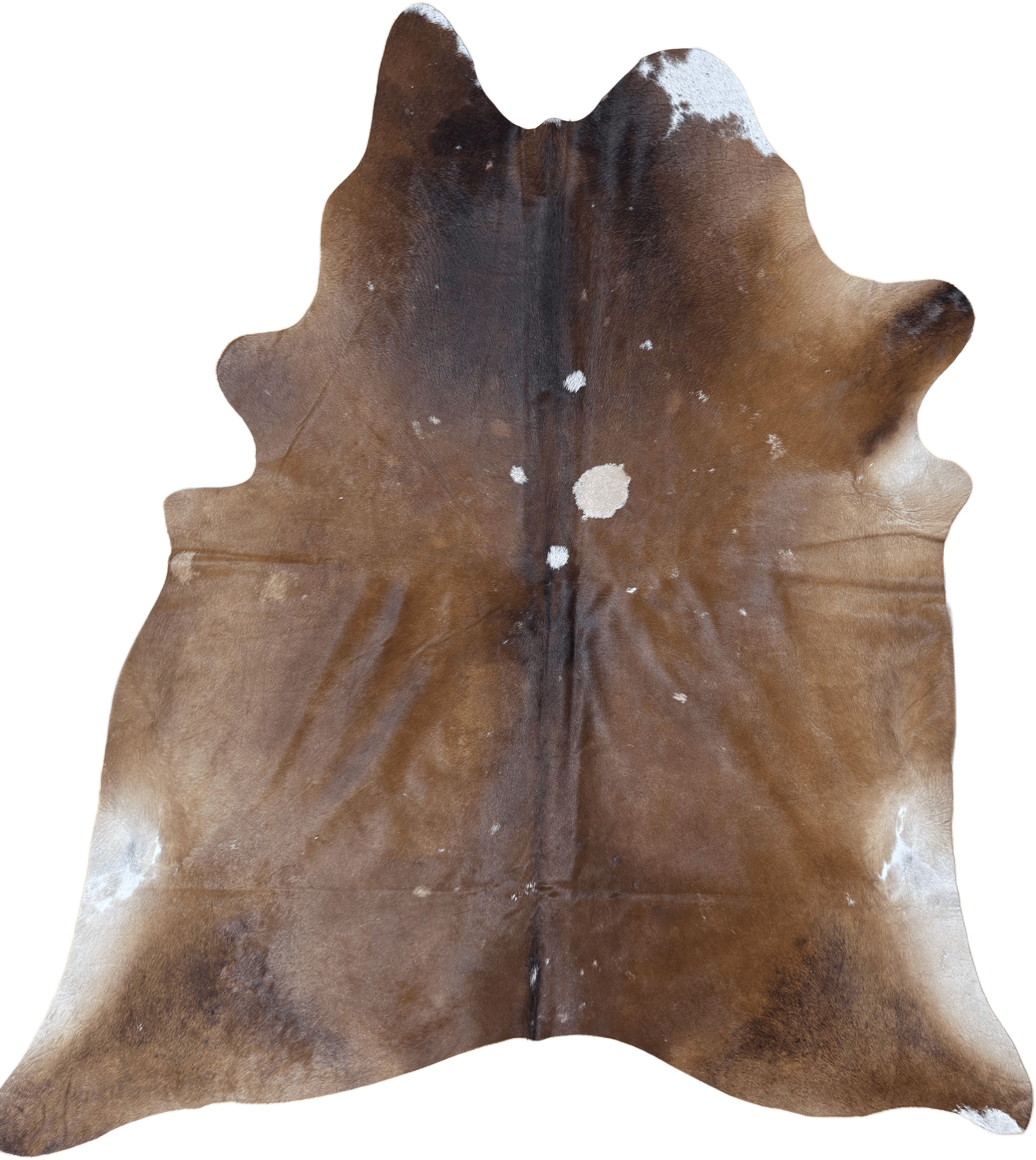 Koeienhuid Vloerkleed 227x202 cm XL (Groot) - image 2