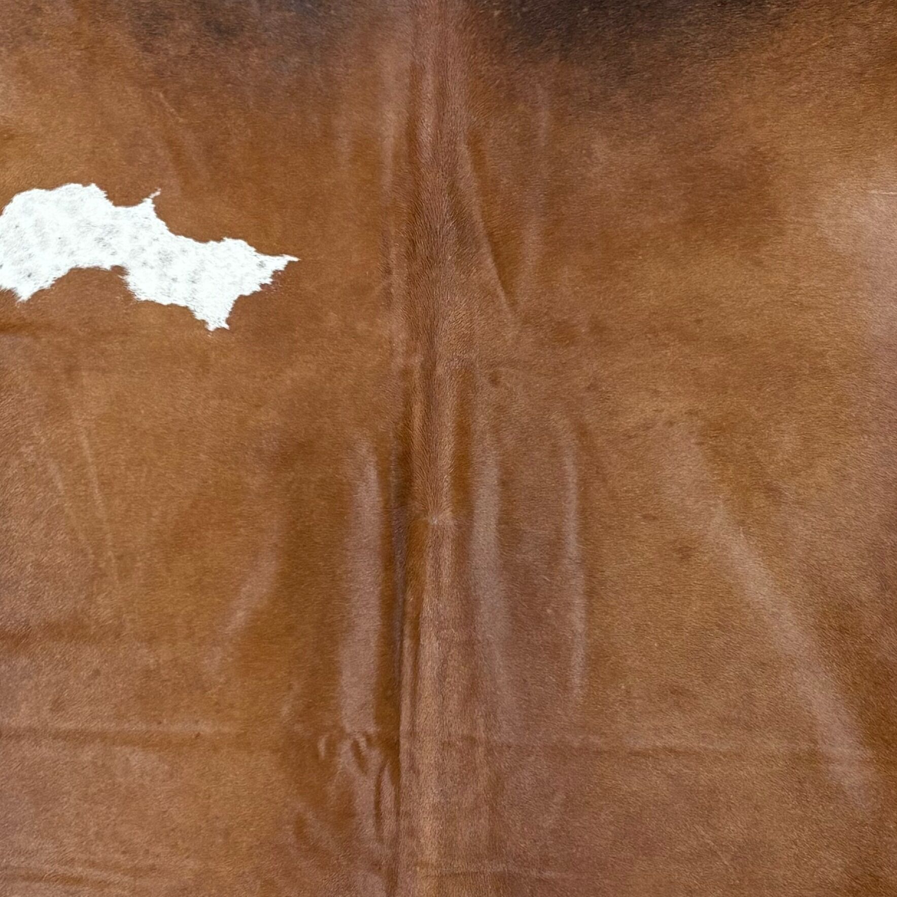 Koeienhuid Vloerkleed 228x198 cm XL (Groot) - image 3