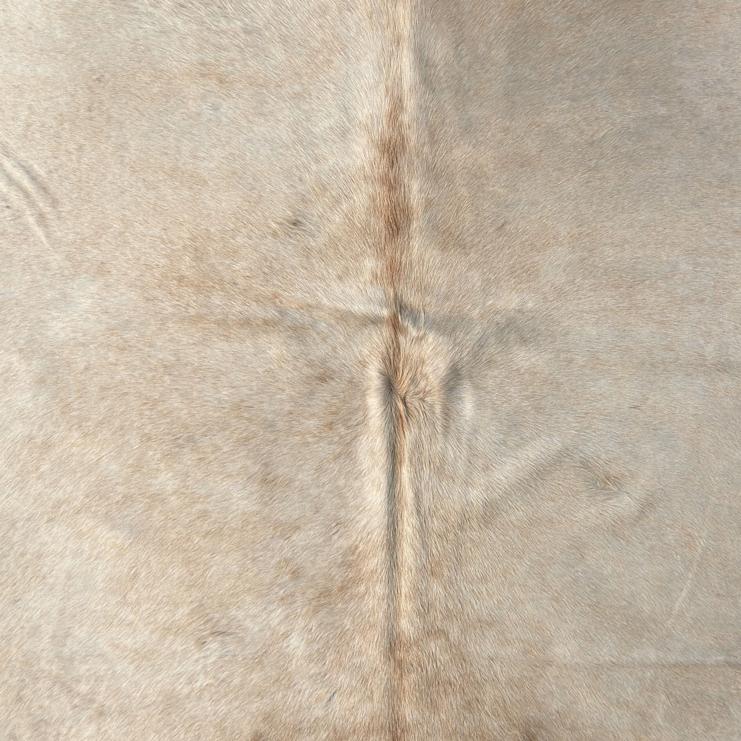 Koeienhuid Vloerkleed 229x211 cm XL (Groot) - image 3