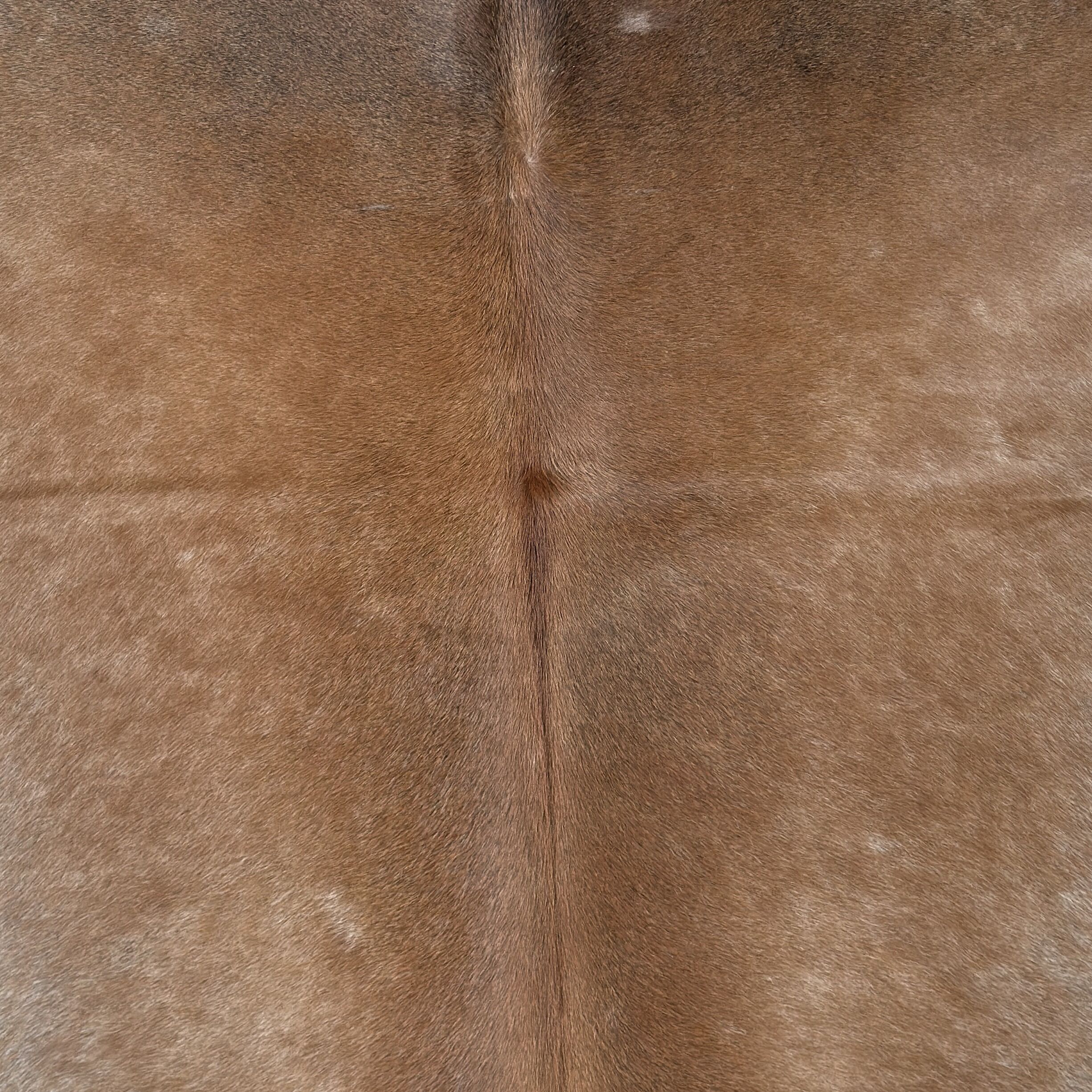 Koeienhuid Vloerkleed 231x203 cm XL (Groot) - image 3
