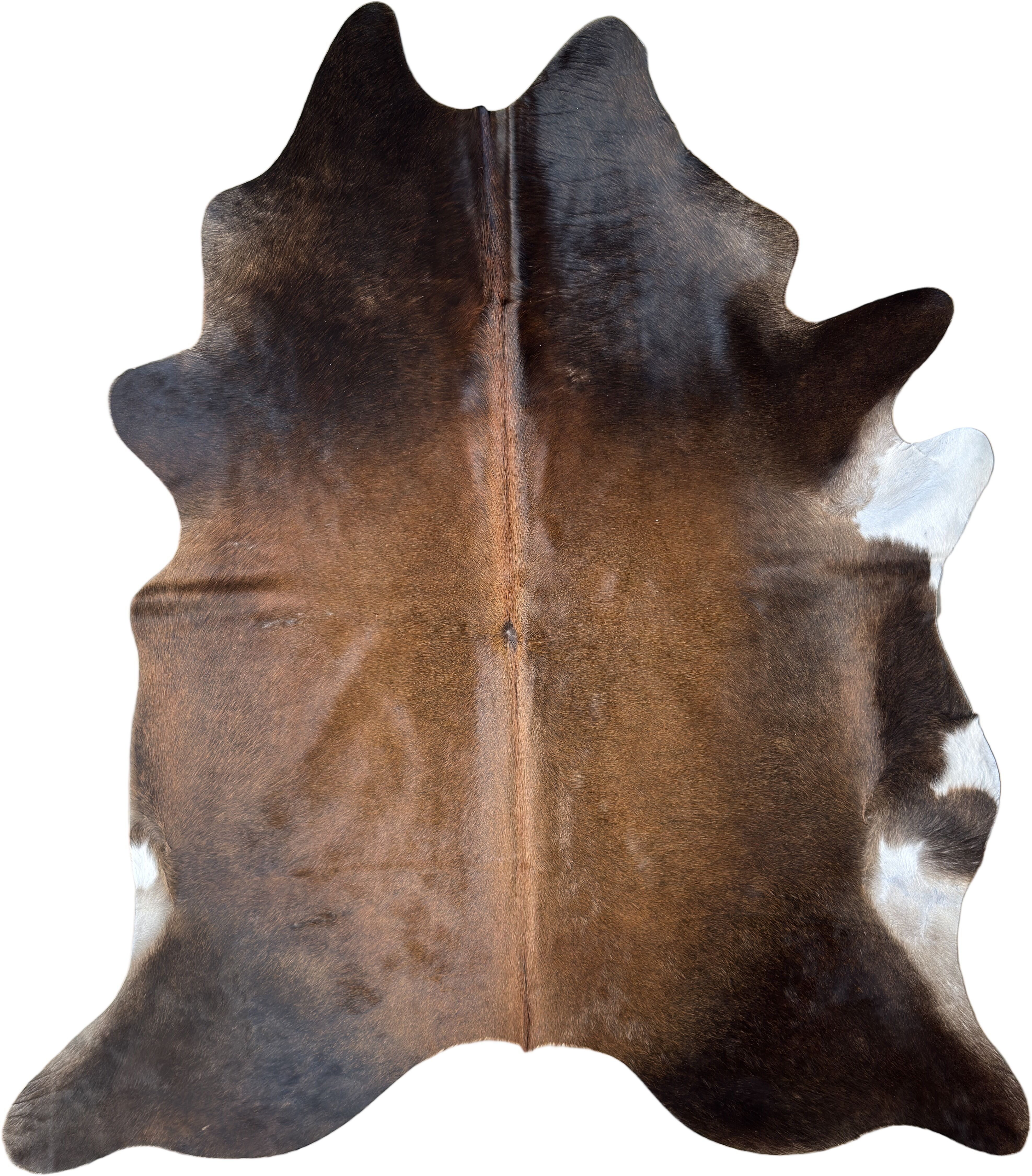 Koeienhuid Vloerkleed 236x208 cm XL (Groot) - image 2