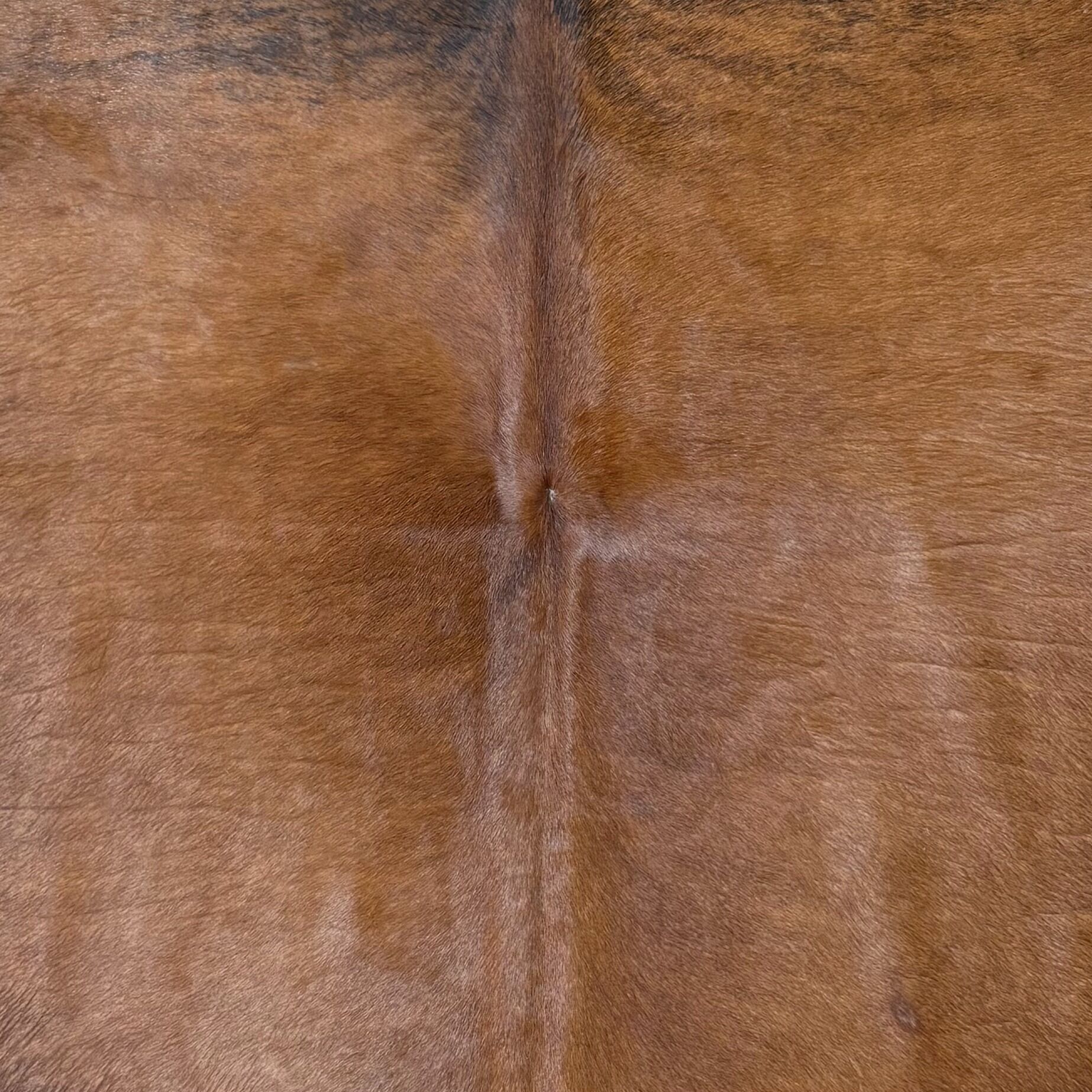 Koeienhuid Vloerkleed 237x206 cm XL (Groot) - image 3