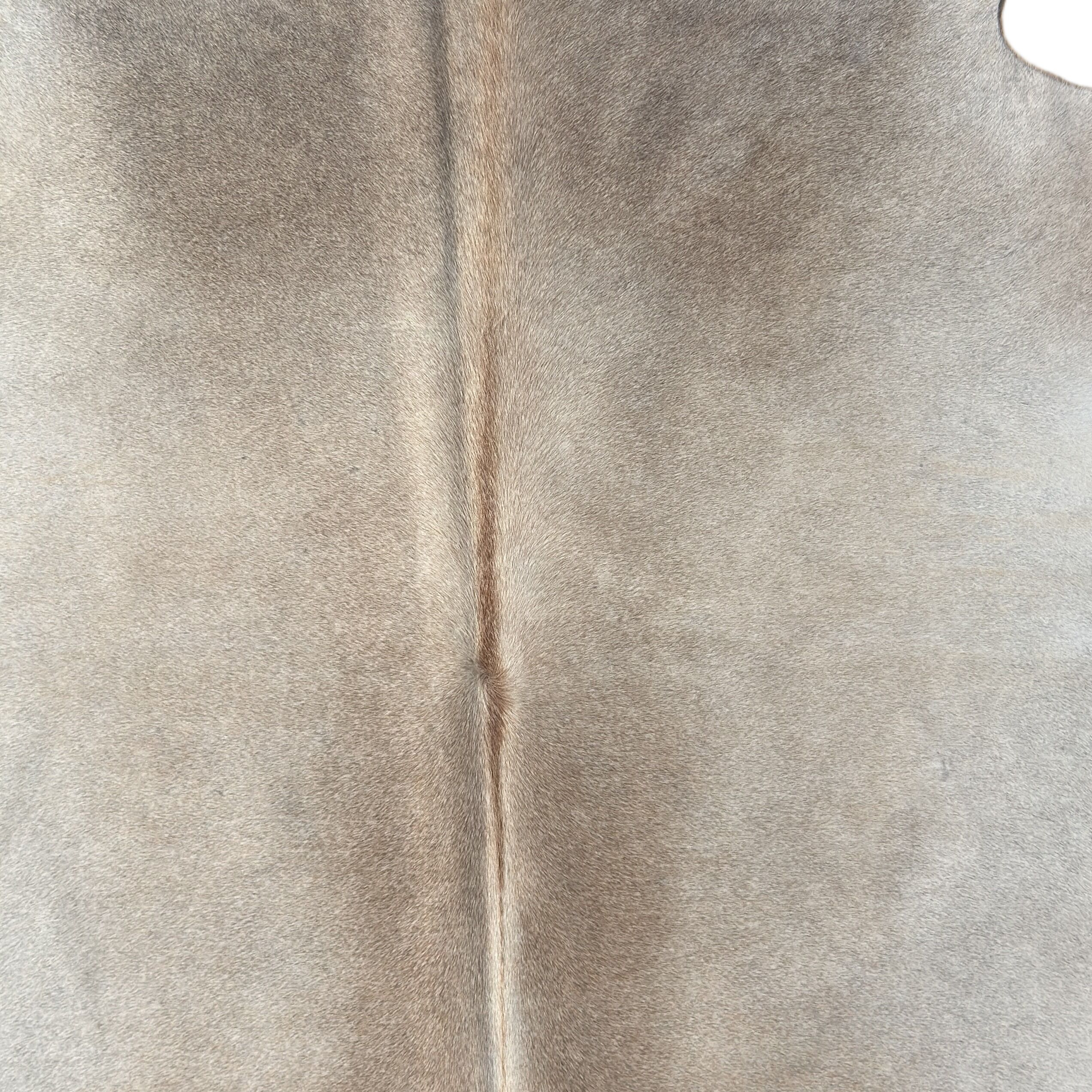 Koeienhuid Vloerkleed 239x210 cm XL (Groot) - image 3