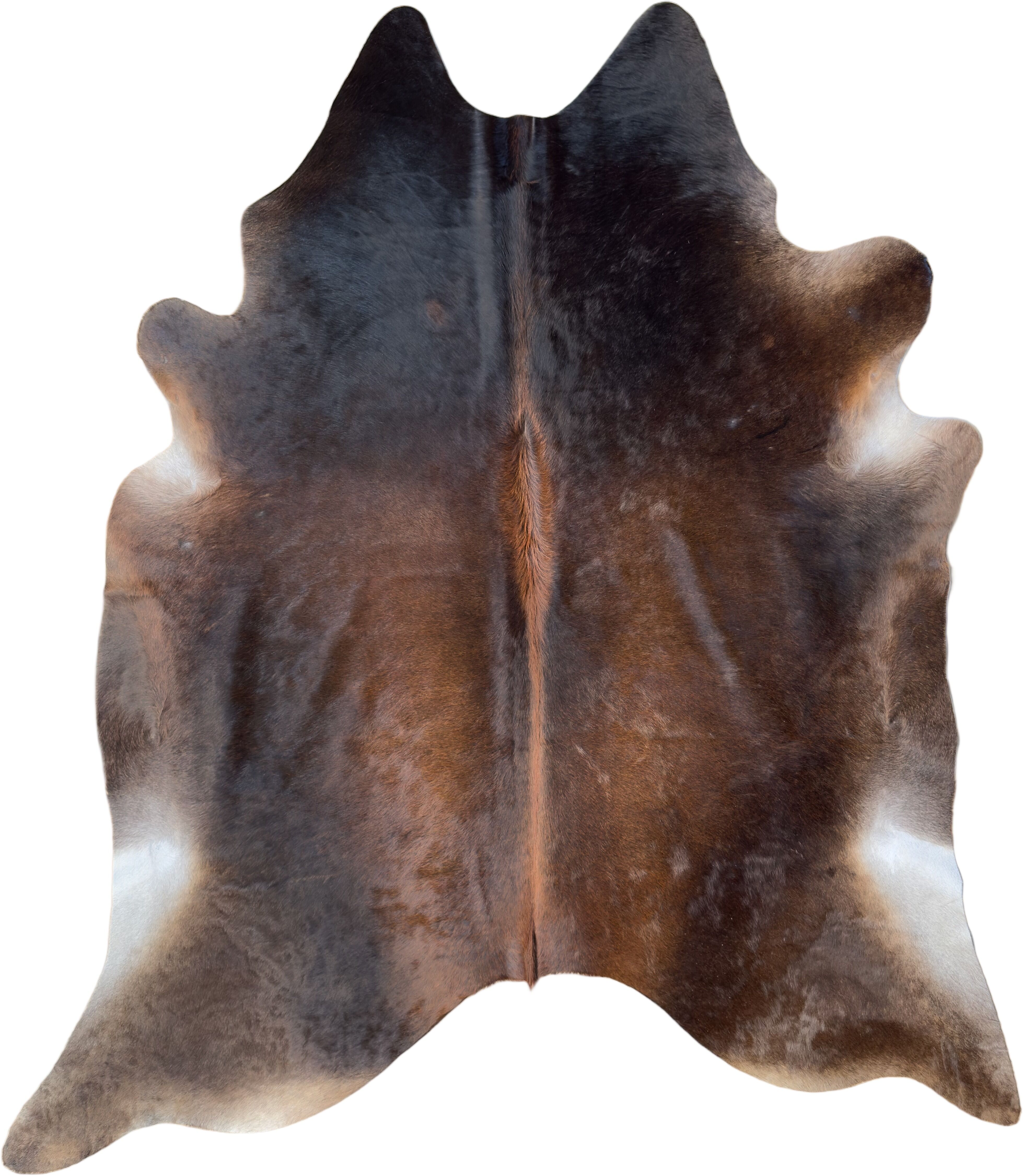 Koeienhuid Vloerkleed 243x211 cm XXL (Extra Groot) - image 2