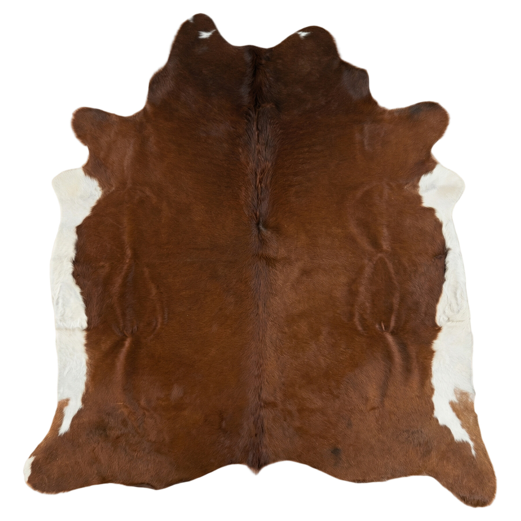 Koeienhuid Vloerkleed 233x207 cm - image 2