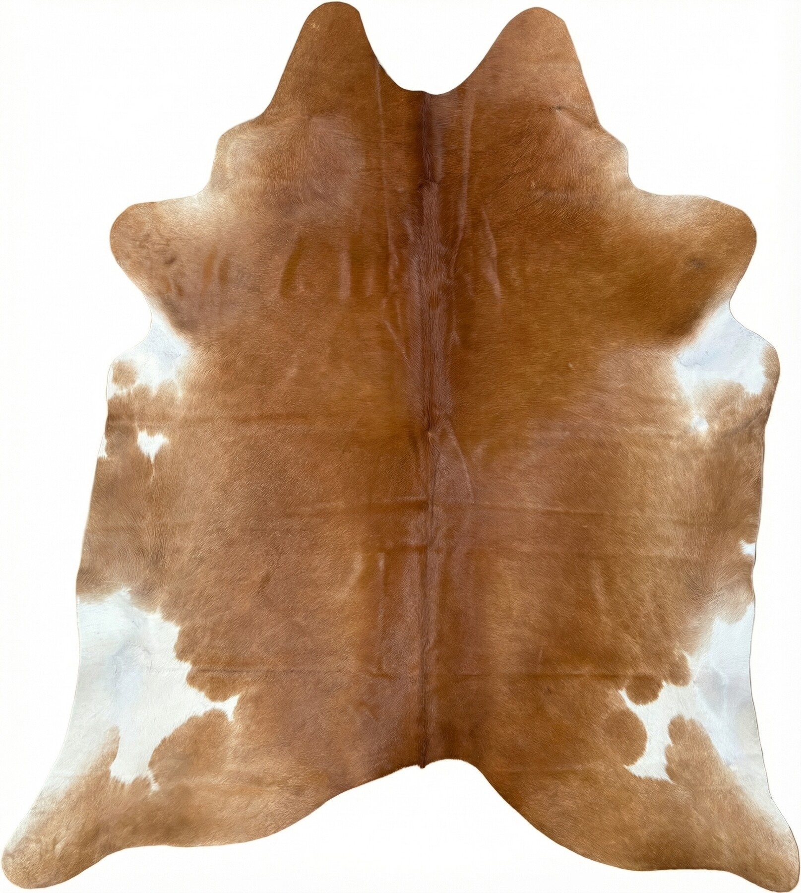 Koeienhuid Vloerkleed 225x202 cm XL (Groot) - image 2
