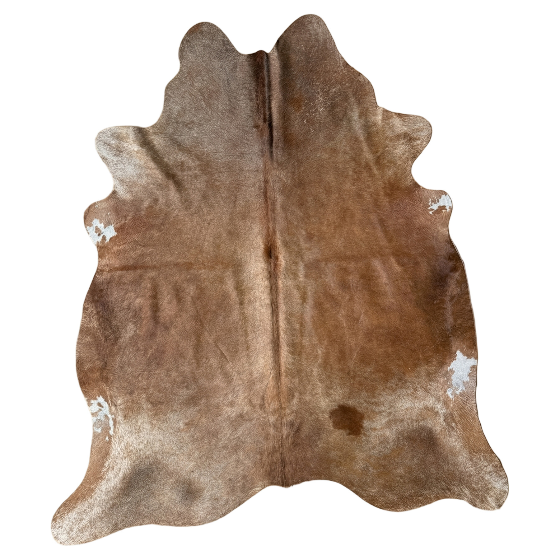 Koeienhuid Vloerkleed 225x195 cm - image 2