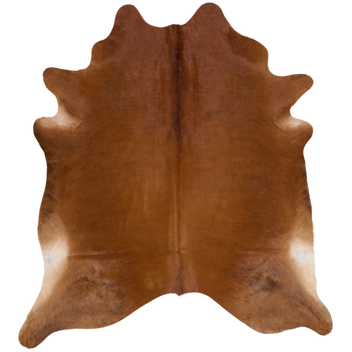 Koeienhuid Vloerkleed 239x217 cm - image 2
