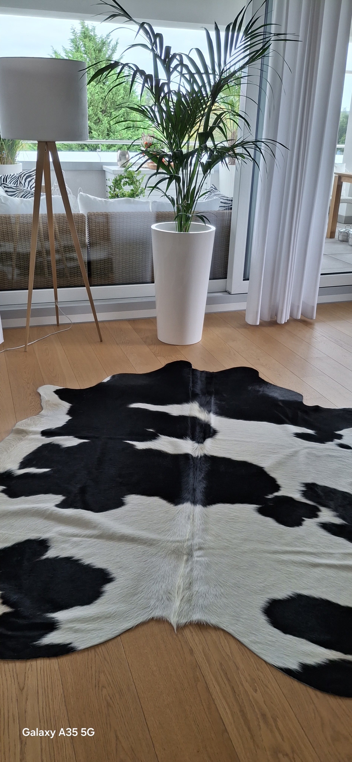 Zwart-witte koeienhuid op een lichte houten vloer in een lichte kamer.