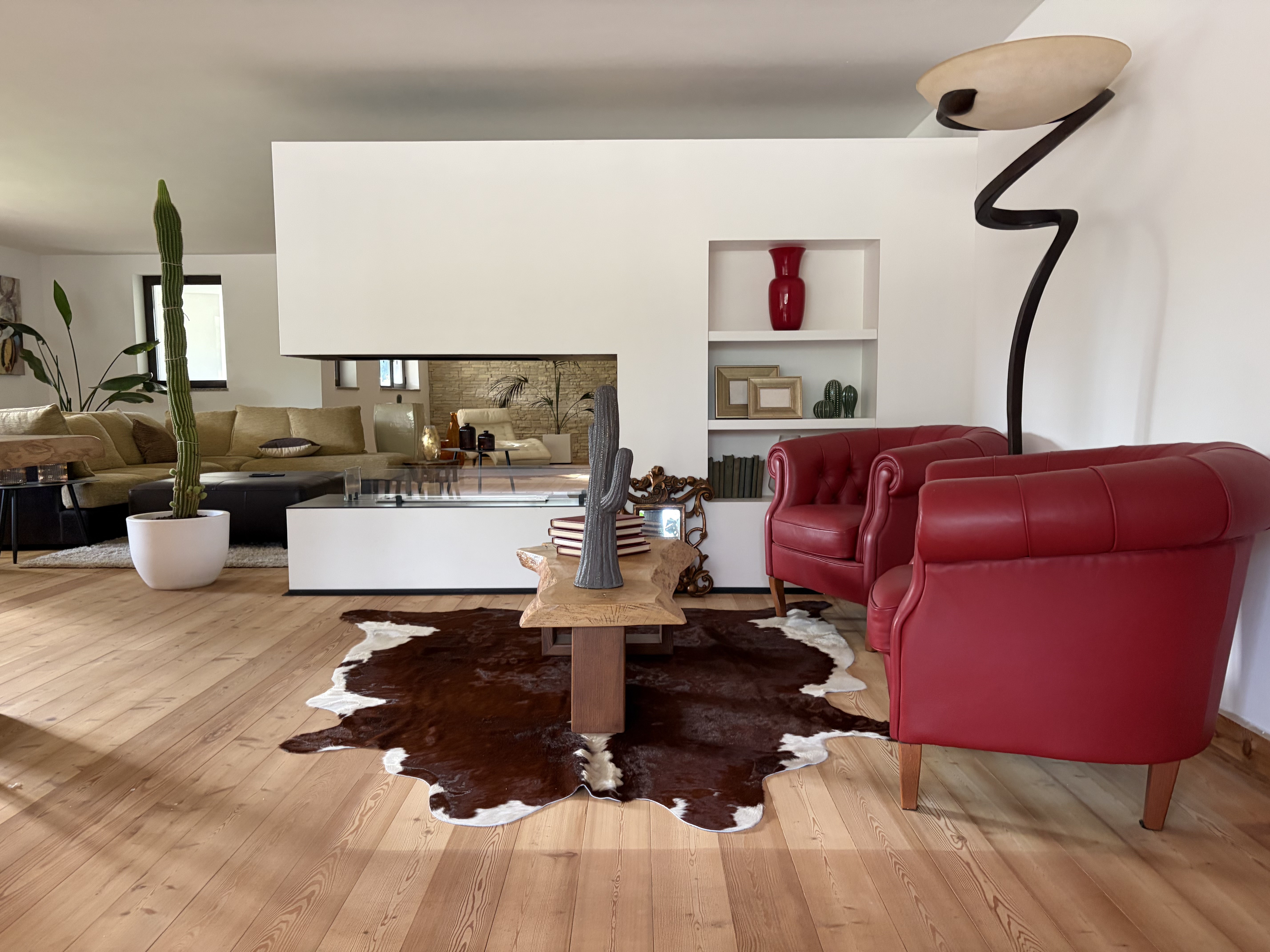 Bruin-witte koeienhuid onder een houten salontafel naast rode fauteuils op een houten vloer