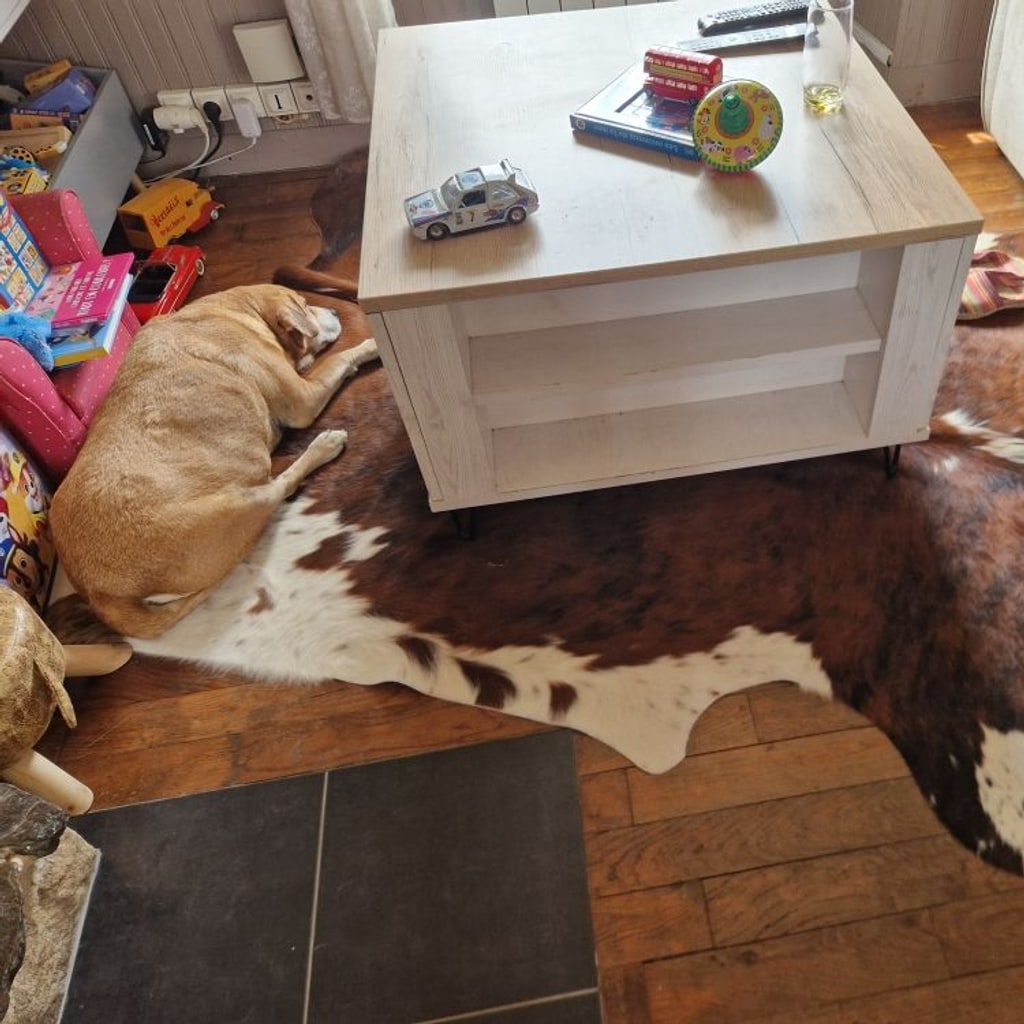 Bruin-witte koeienhuid onder een witte salontafel, met een hond die op de huid rust.